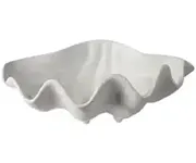 Shell Bowls