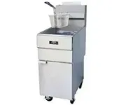 Floor Model Gas Fryers