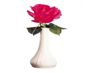 Bud Vases and Accent Vases
