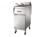 Floor Model Electric Fryers