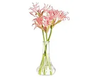 Bud Vases and Accent Vases
