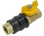 Gas Valves