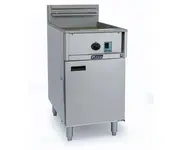 Floor Model Electric Fryers